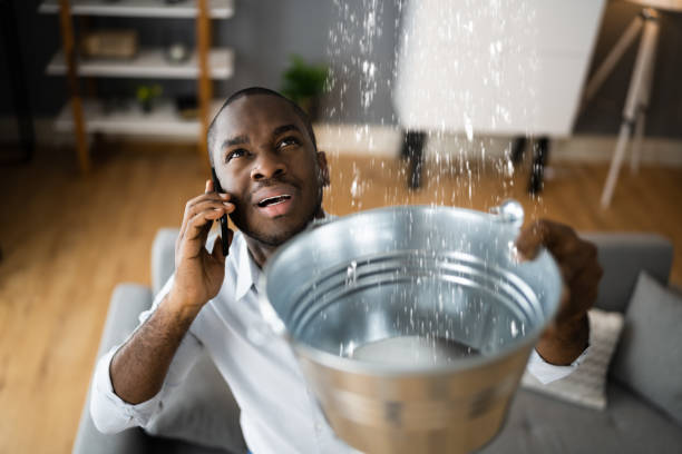 Best Flood restoration services  in Buena Vista, MI