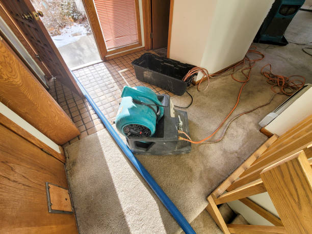 Best Emergency water damage restoration  in Buena Vista, MI