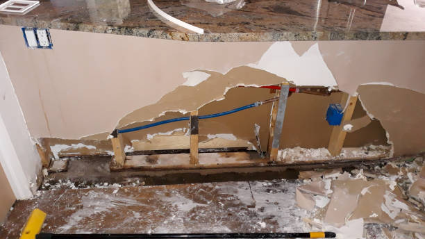 Best Flood damage cleanup  in Buena Vista, MI