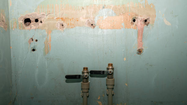 Best 24/7 water damage repair  in Buena Vista, MI