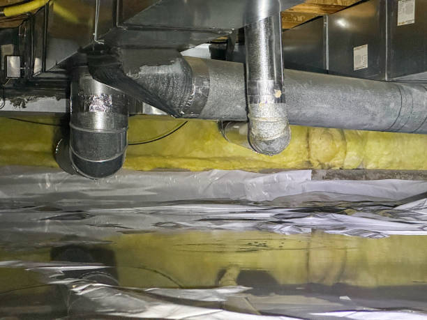 Best Basement water damage restoration  in Buena Vista, MI