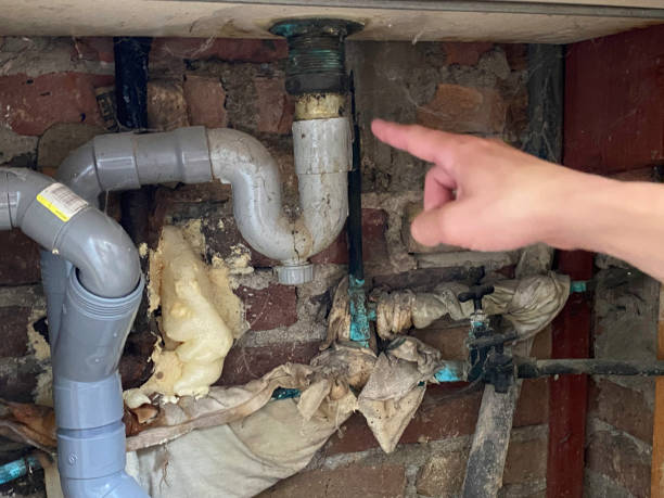 Best Flood restoration services  in Buena Vista, MI