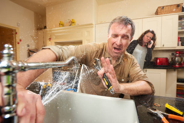 Best Fire Damage Restoration  in Buena Vista, MI